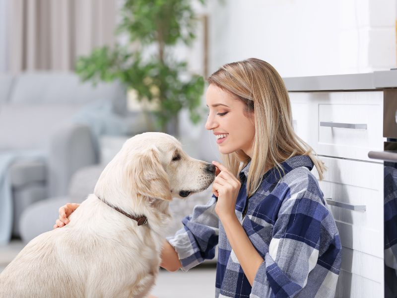 A woman gently pets a dog