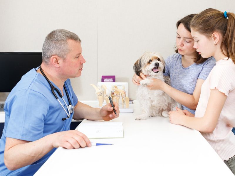 A vet examines a dog while two young girls observe attentively