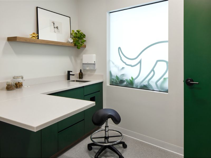 Vets on Main Interior Room