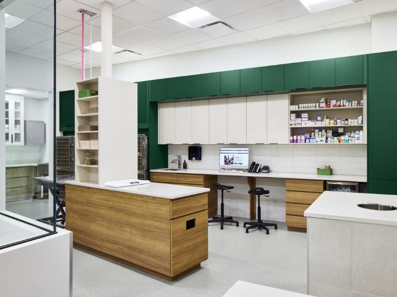 Vets on Main Interior